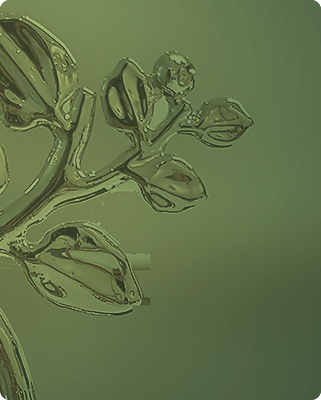 SpotLight Image