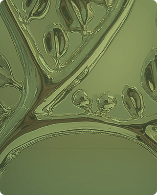 SpotLight Image